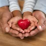 Mains d'un adulte et d'un enfant tenant un coeur