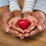 Mains d'un adulte et d'un enfant tenant un coeur